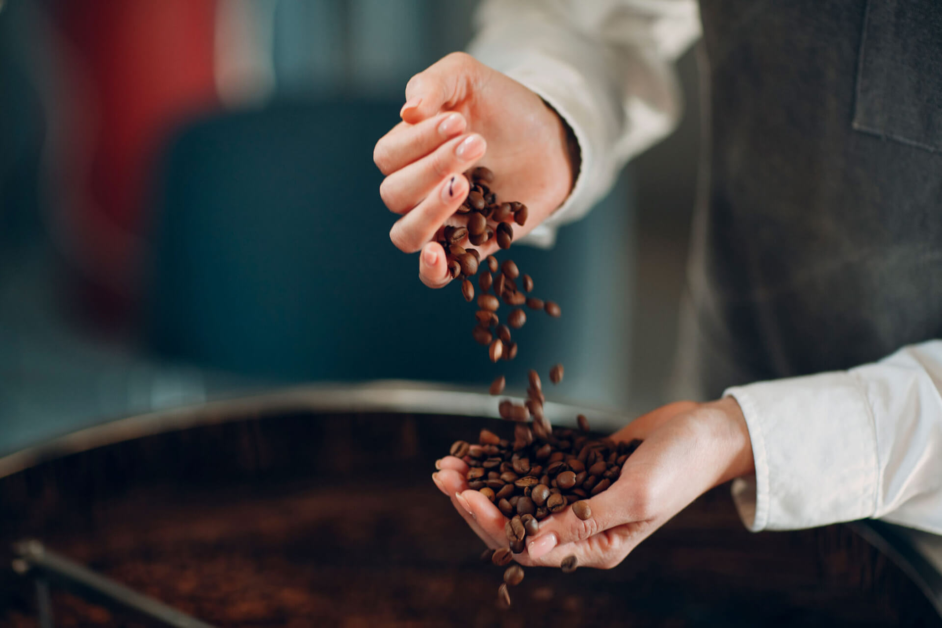 Naslovna - KibidabiShop 